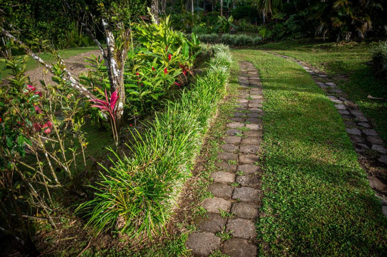 Vista Lago Arenal Piedras Dış mekan fotoğraf