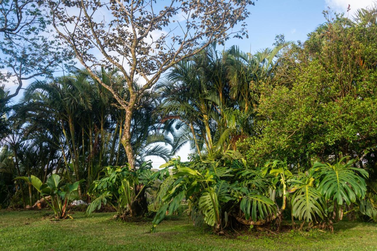 Vista Lago Arenal Piedras Dış mekan fotoğraf