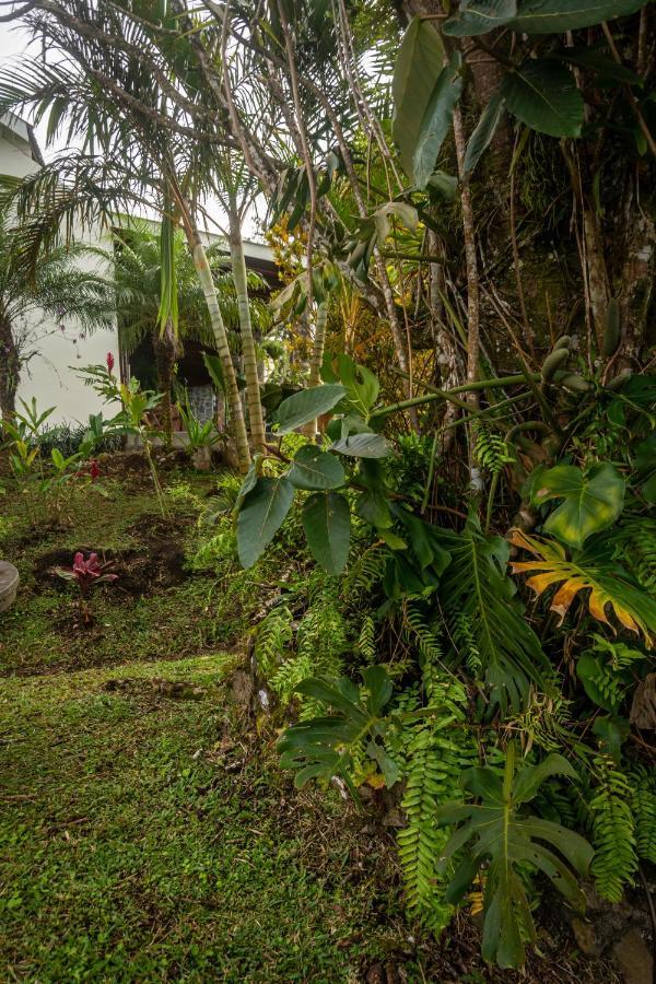 Vista Lago Arenal Piedras Dış mekan fotoğraf